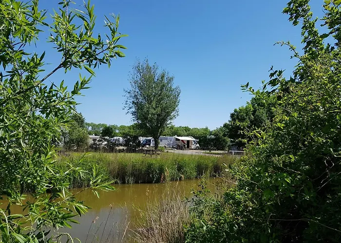 Luxe Lodge Zeehoeve